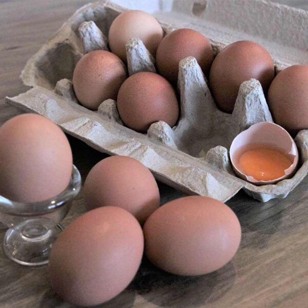 Eier aus Freilandhaltung